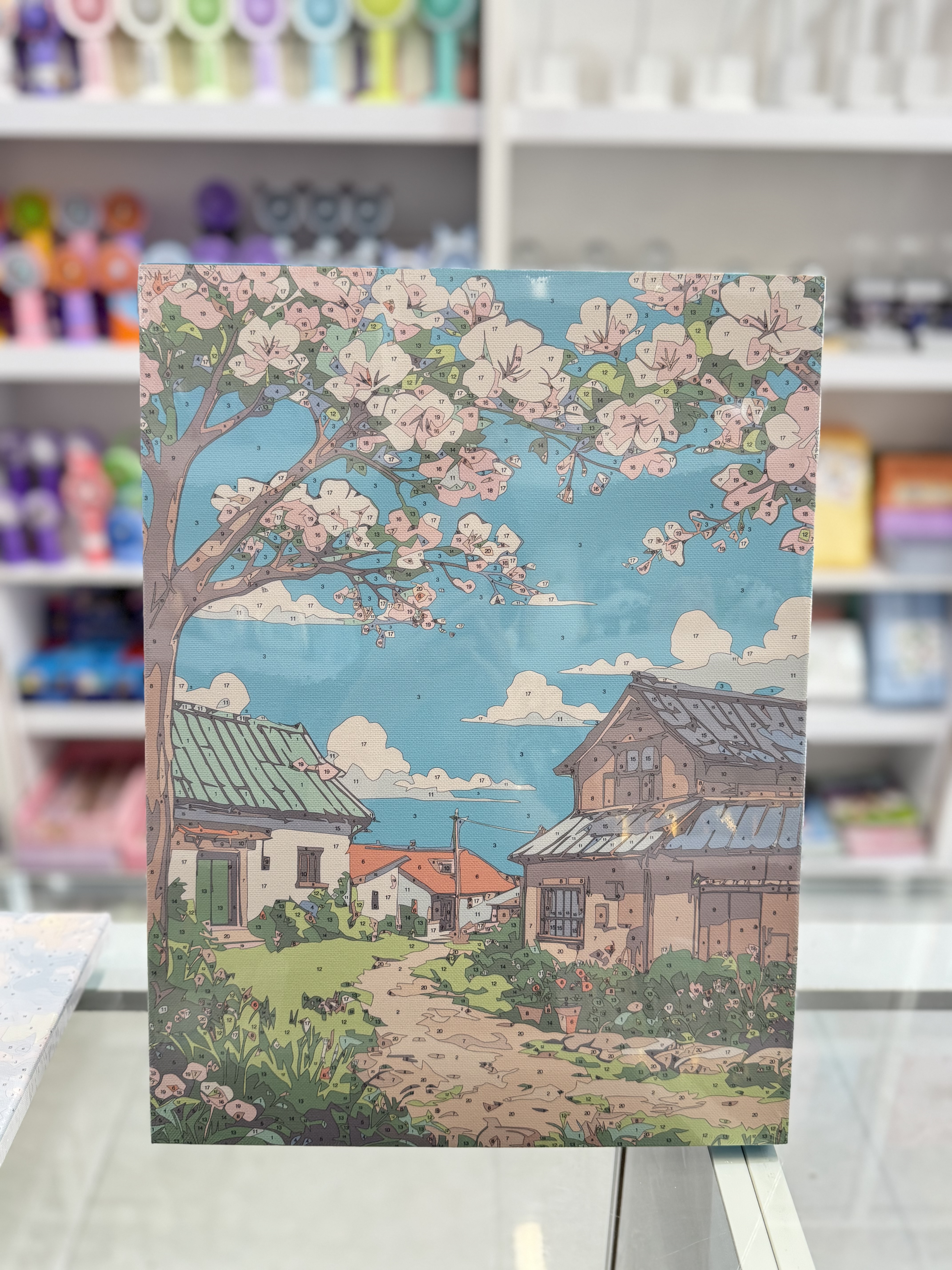بوم آبرنگی بزرگسال سایز 30*40 همراه با قلم مو و گواش
